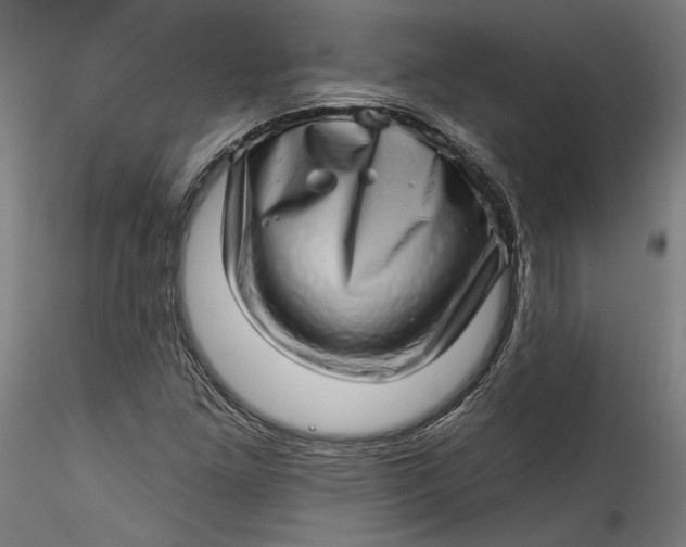 X0000115521261200911271315