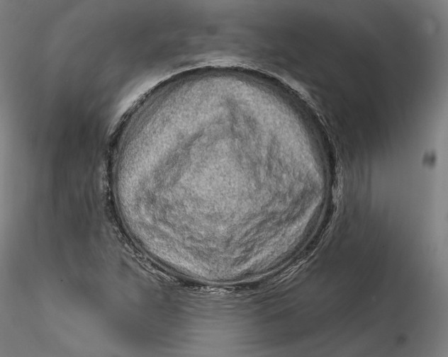 X0000115521263200911271315