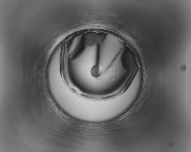 X0000115521264200911271315