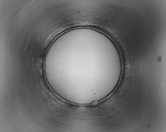 X0000115521265200911271315