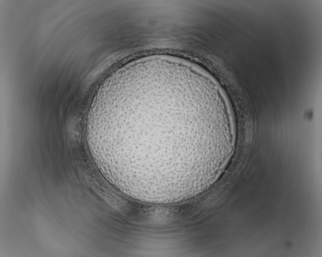 X0000115521266200911271315