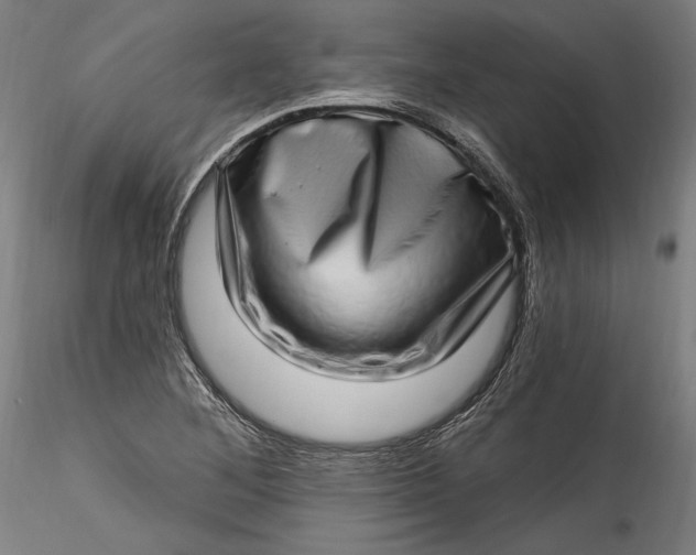 X0000115521268200911271315