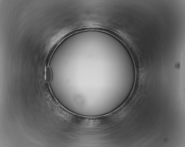 X0000115521269200911271315