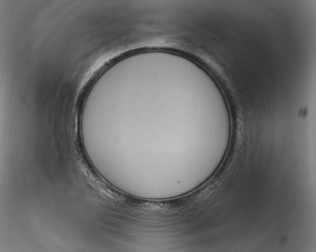 X0000115521270200911271315