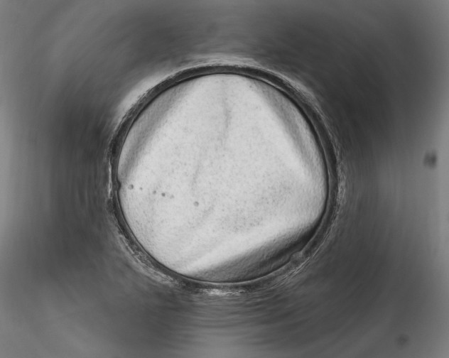 X0000115521271200911271315