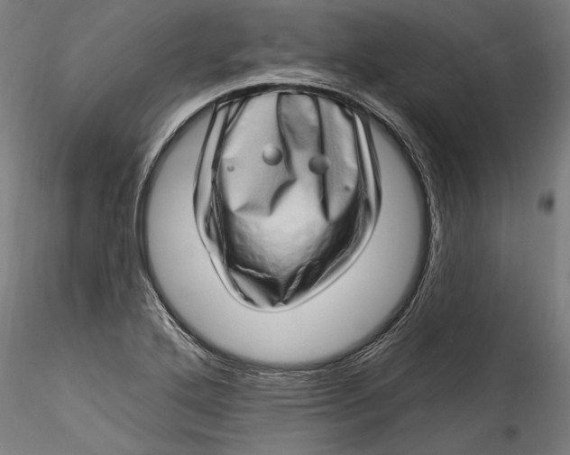 X0000115521272200911271315