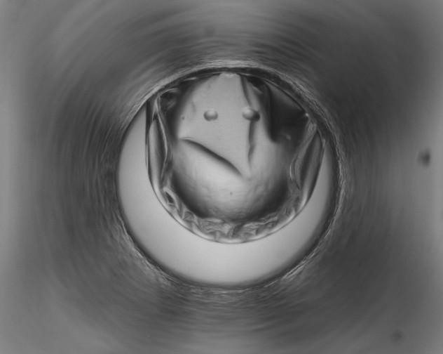 X0000115521273200911271315