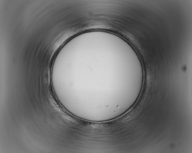 X0000115521274200911271315