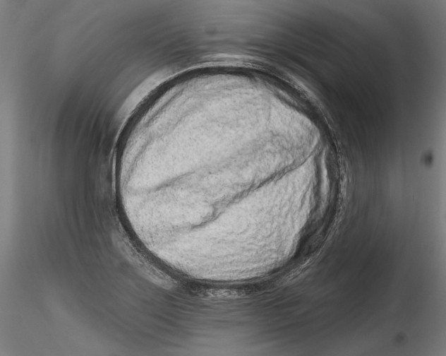 X0000115521275200911271315