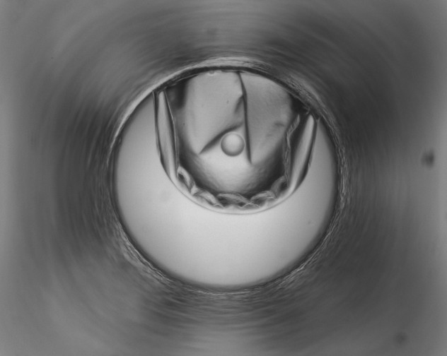 X0000115521276200911271315