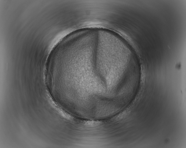 X0000115521277200911271315