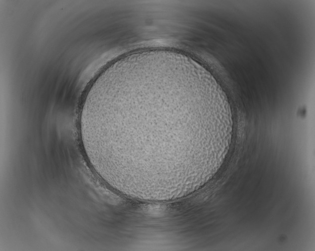 X0000115521278200911271315