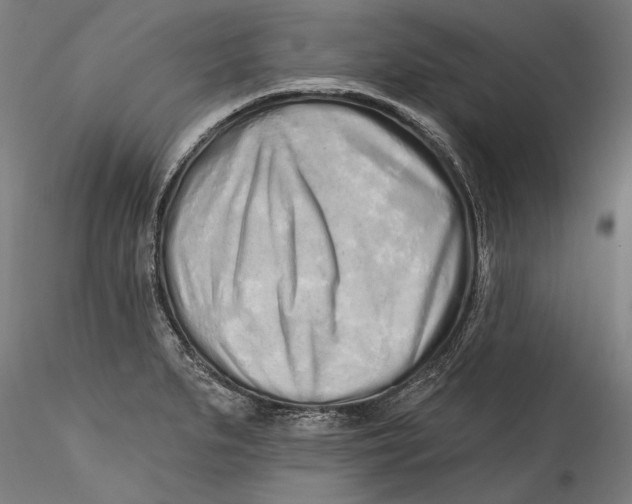 X0000115521279200911271315