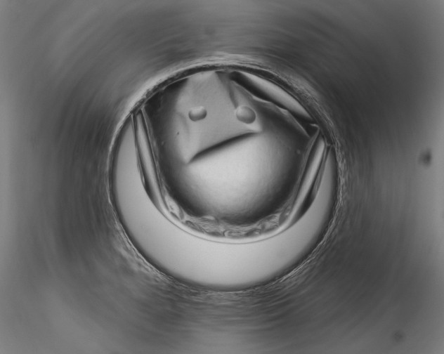 X0000115521280200911271315