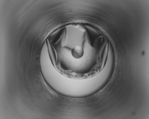 X0000115521281200911271314