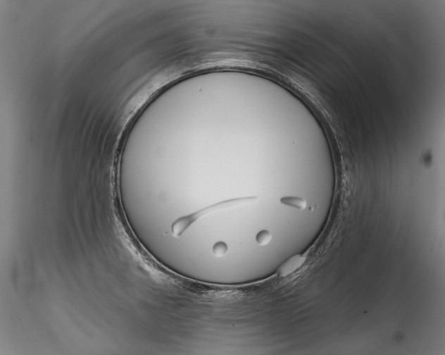 X0000115521282200911271314