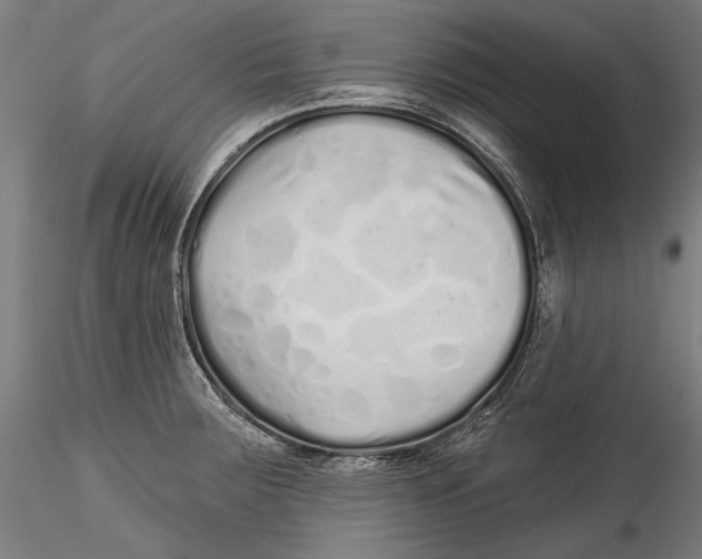 X0000115521283200911271314