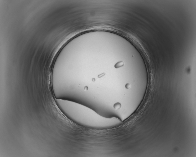 X0000115521284200911271314