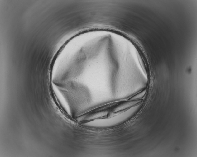 X0000115521287200911271314