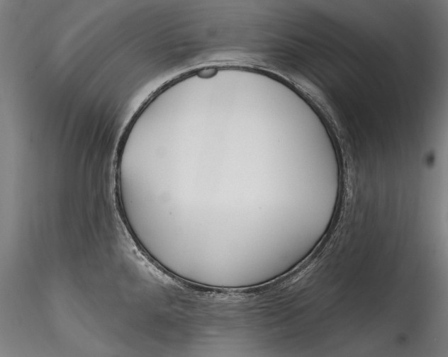 X0000115521288200911271314