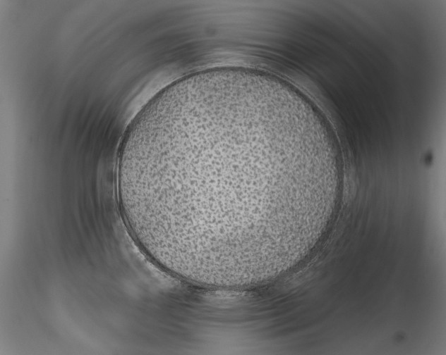 X0000115521290200911271314