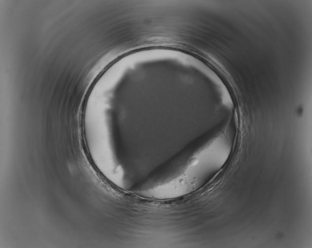 X0000115521291200911271314