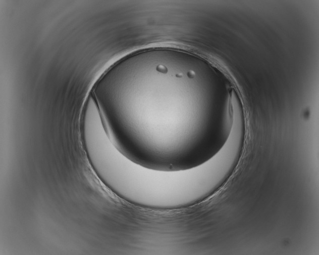 X0000115521292200911271314