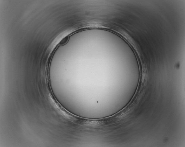 X0000115521293200911271314