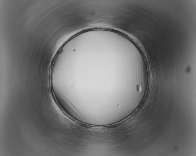 X0000115521295200911271314