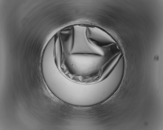 X0000115521296200911271314