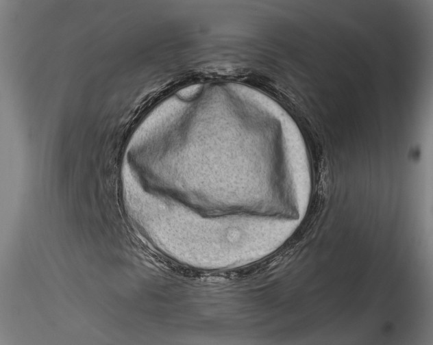 X0000115521297200911271314