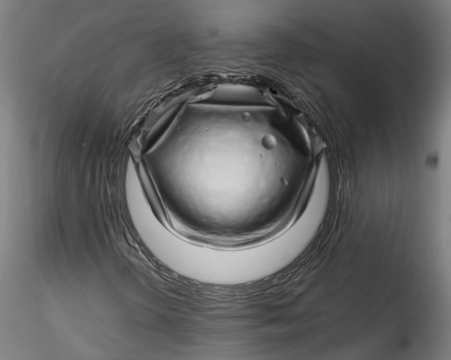 X0000115521298200911271314