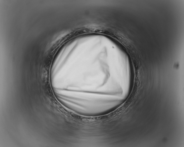 X0000115521302200911271314