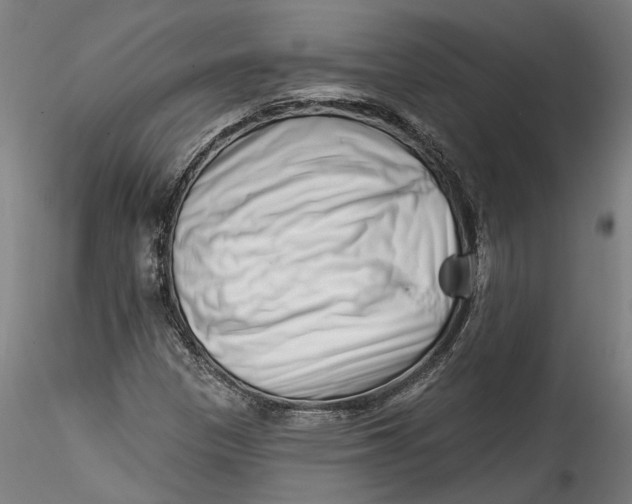 X0000115521305200911271314