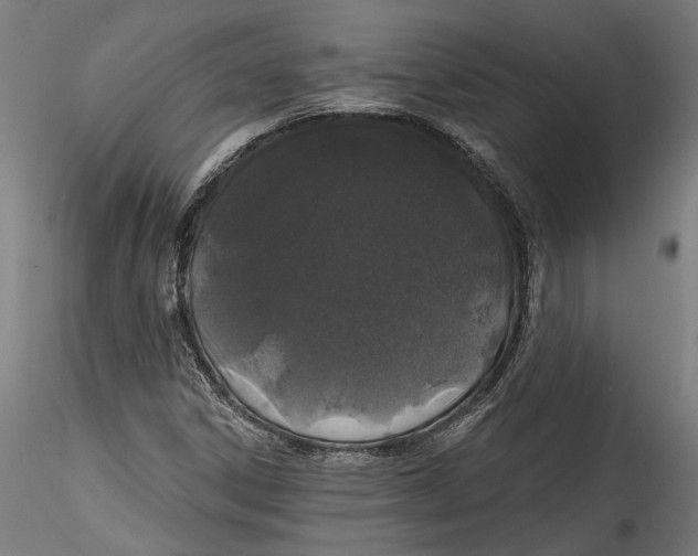 X0000115521306200911271314