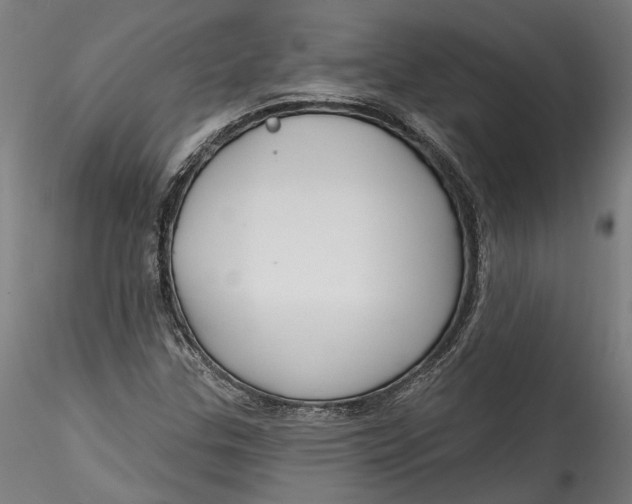 X0000115521307200911271314