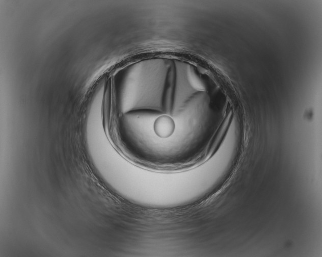 X0000115521309200911271314