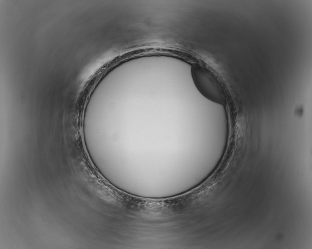 X0000115521310200911271314