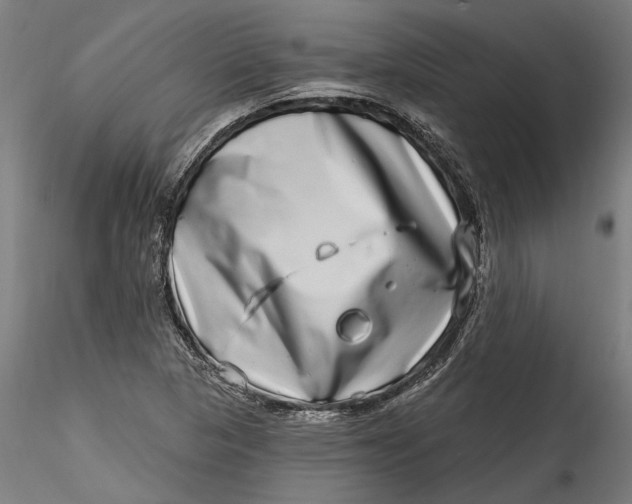 X0000115521313200911271314