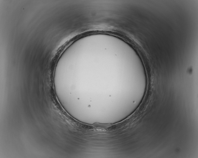 X0000115521315200911271314