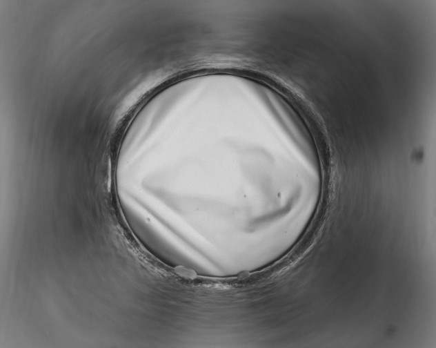 X0000115521317200911271314