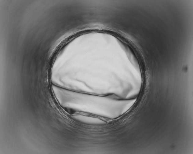 X0000115521318200911271314