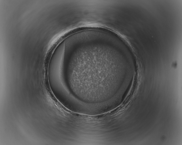 X0000115521319200911271314