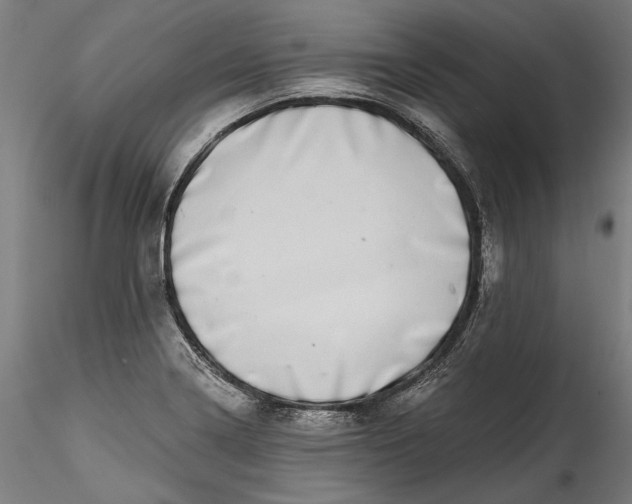 X0000115521322200911271314