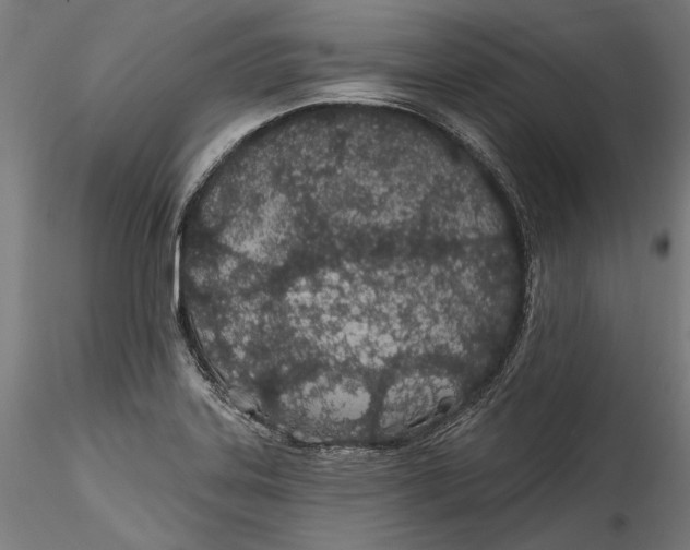 X0000115521323200911271314