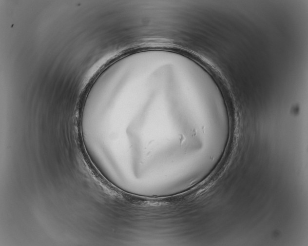 X0000115521325200911271314