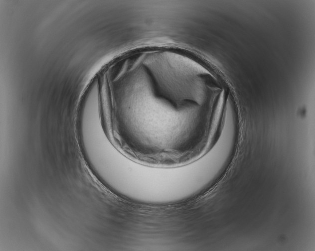 X0000115521326200911271314