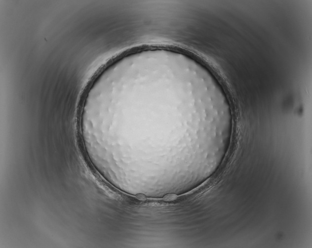 X0000115521327200911271314