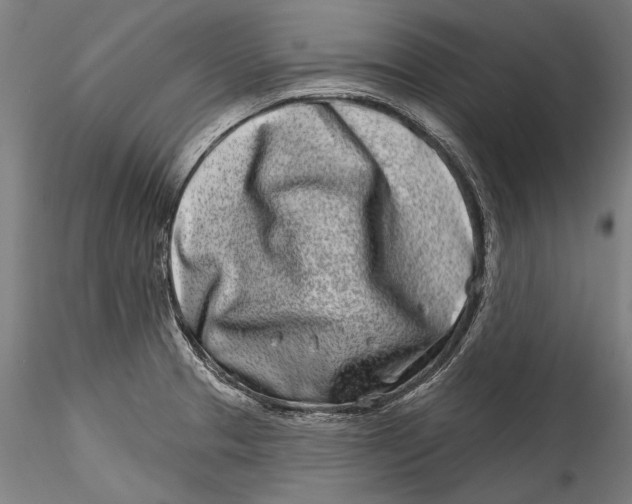 X0000115521329200911271314