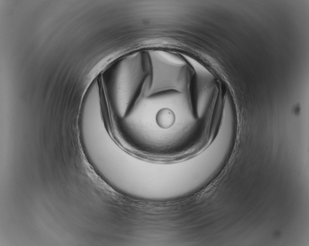 X0000115521330200911271314